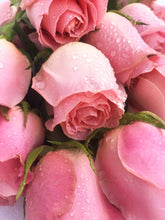 Load image into Gallery viewer, Long Stem Ecuadorian Roses