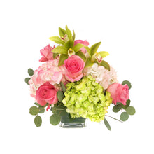 Load image into Gallery viewer, Sweet and Fancy