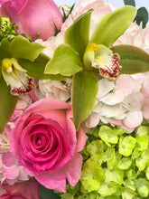 Load image into Gallery viewer, Sweet and Fancy