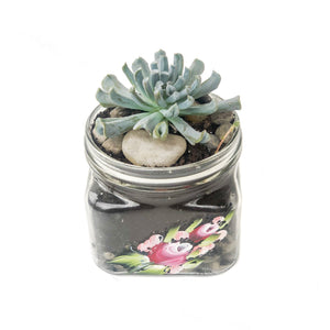 Echeveria Painted Mason Jar