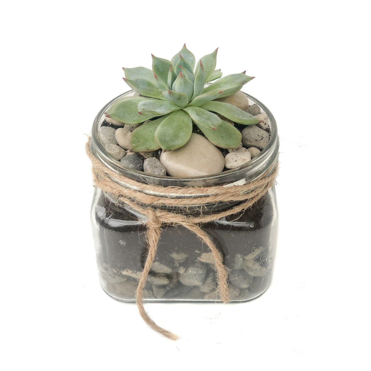 Rosetta Painted Mason Jar