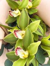 Load image into Gallery viewer, Orquideas in a Wrap
